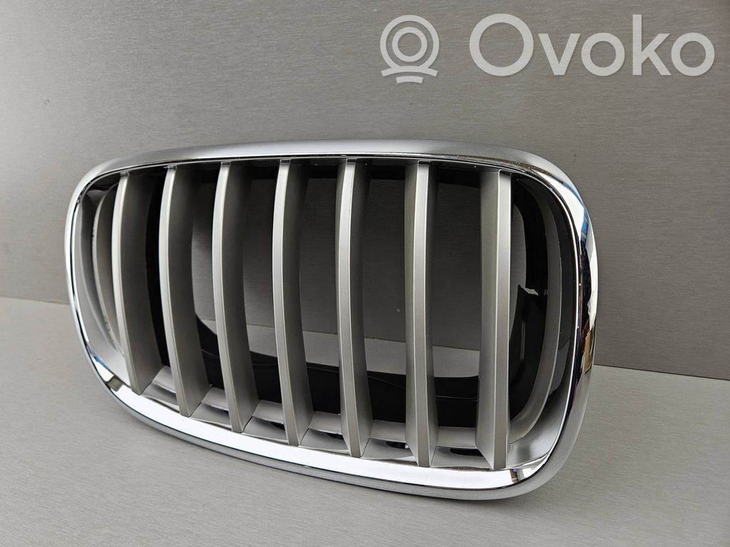 BMW X5 E70 Front bumper upper radiator grill 