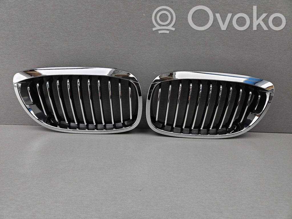 BMW 3 E46 Oberes Gitter vorne 