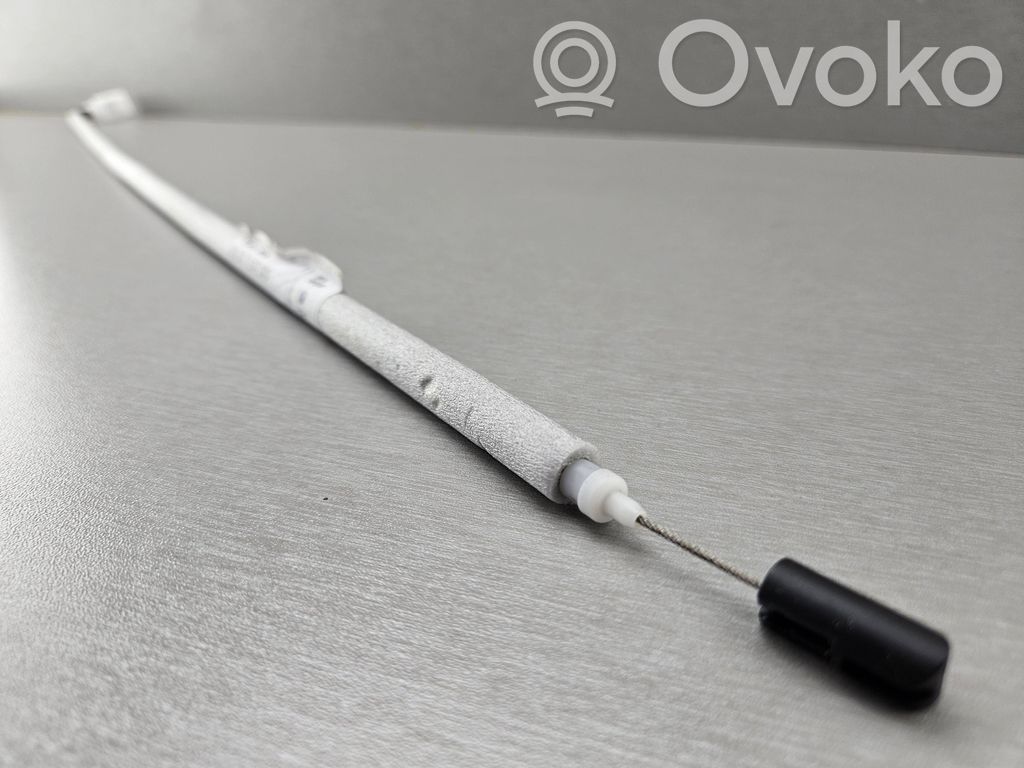 Línea de cable puerta delantera   7137079,51217137079