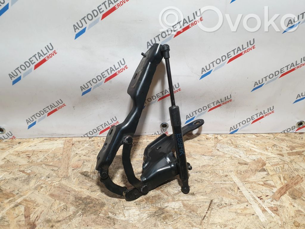 BMW Z4 E89 Tailgate/trunk/boot hinge 