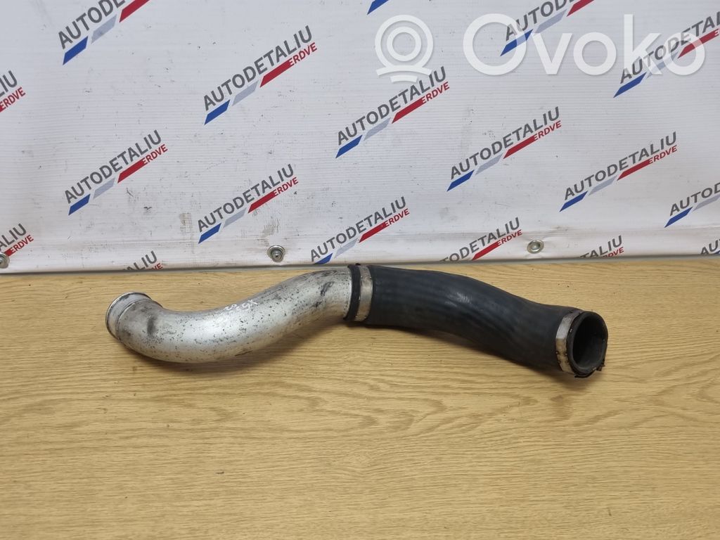 BMW X5 E53 Interkūlera šļūtene (-es) / caurule (-es) 