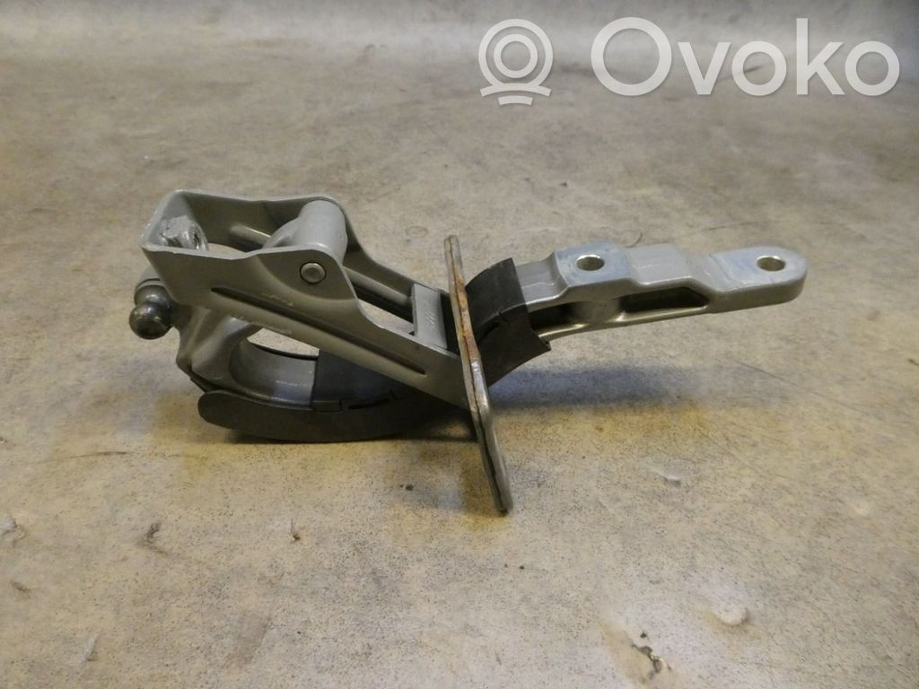 Tailgate/trunk/boot hinge   4699211
