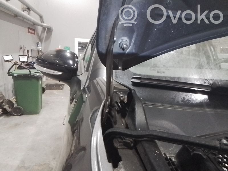 Engine bonnet/hood hinges   9812778480