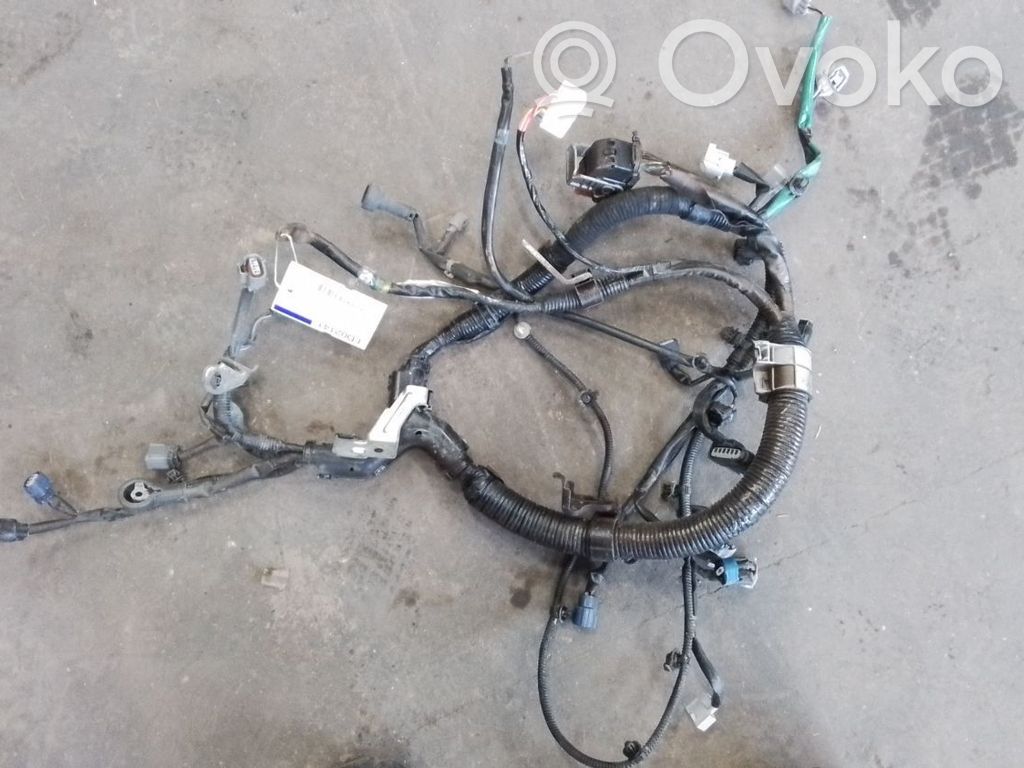 Engine installation wiring loom   3665084MH0000