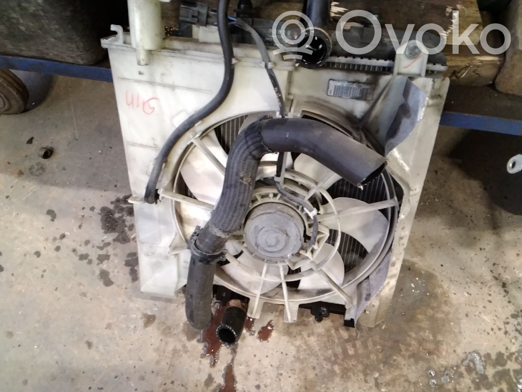 Elektrinis radiatorių ventiliatorius   1253G9