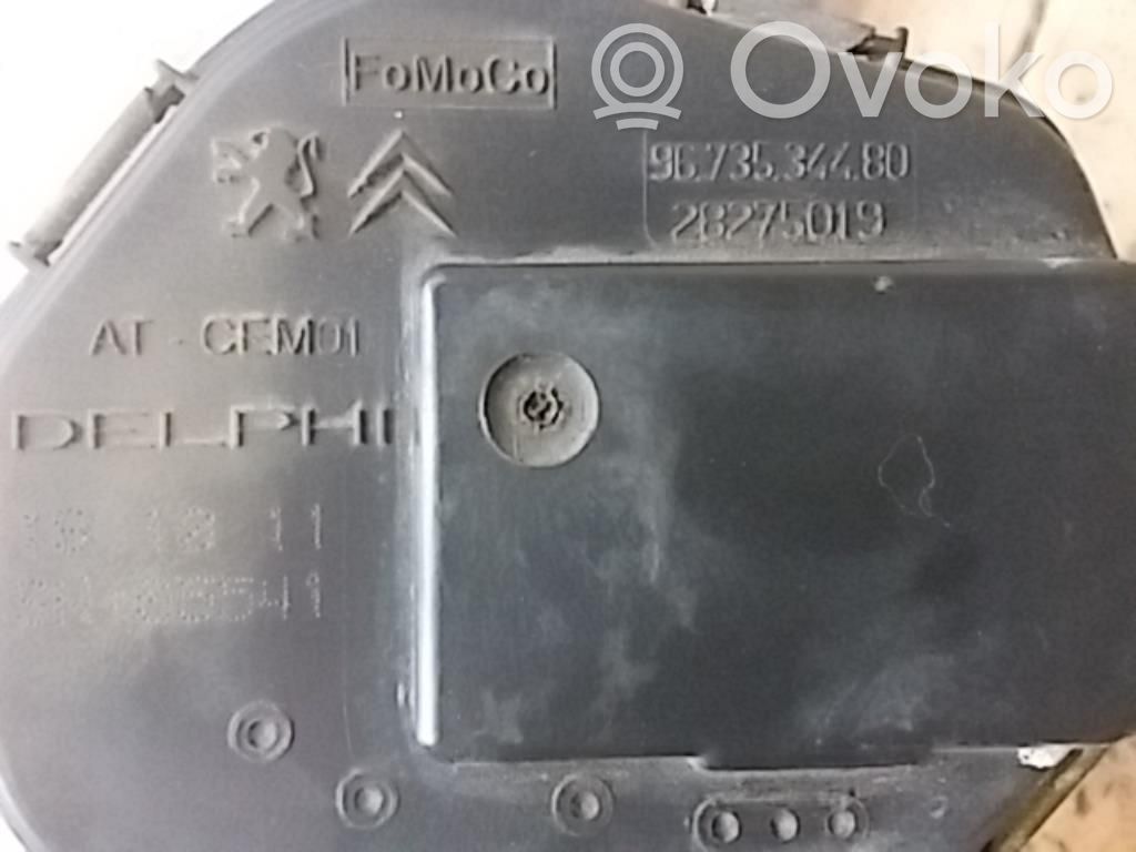 Throttle valve   9673534480