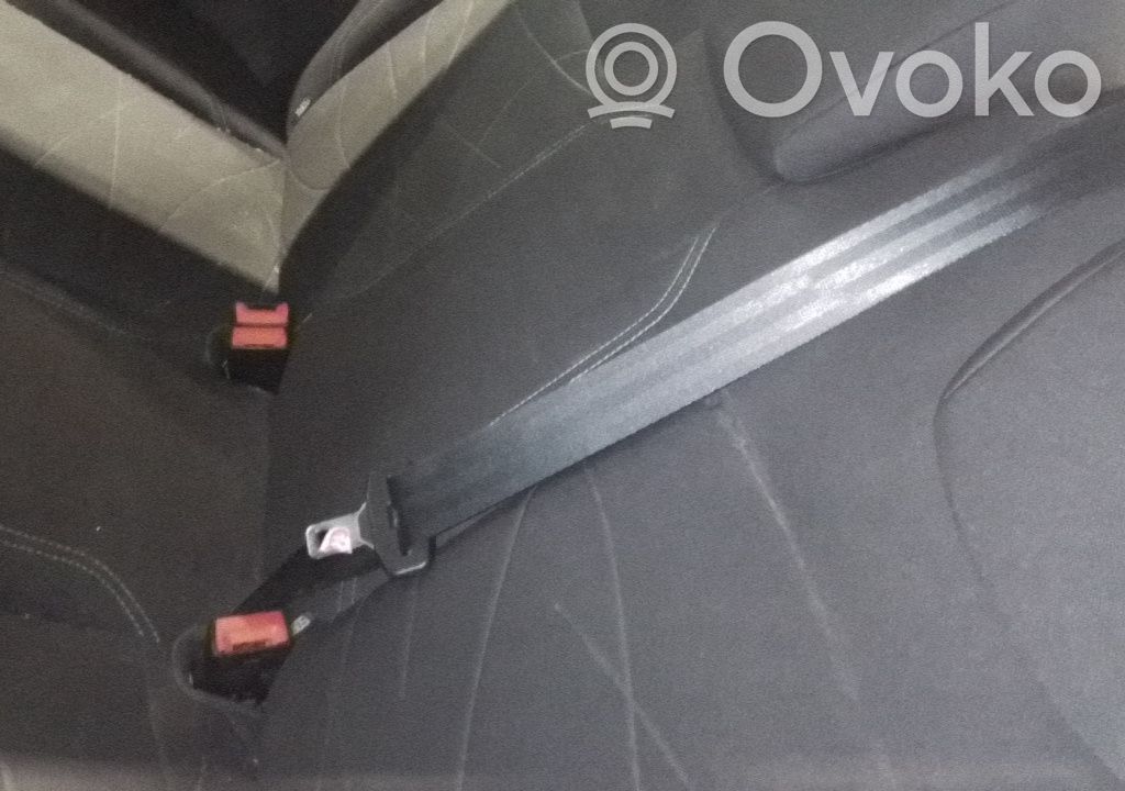 Cinturón trasero   1814667