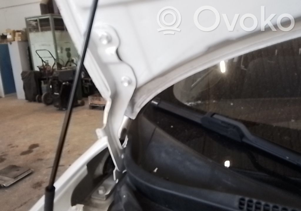 KIA Rio Balamale capotă 