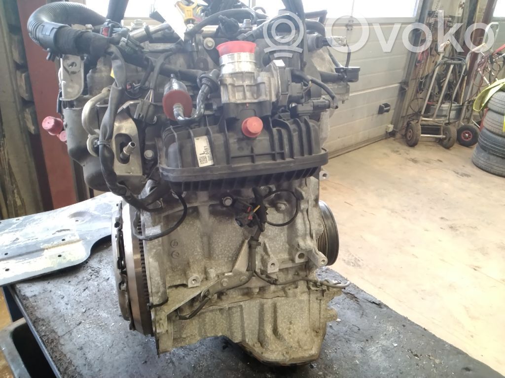 Engine   55493607