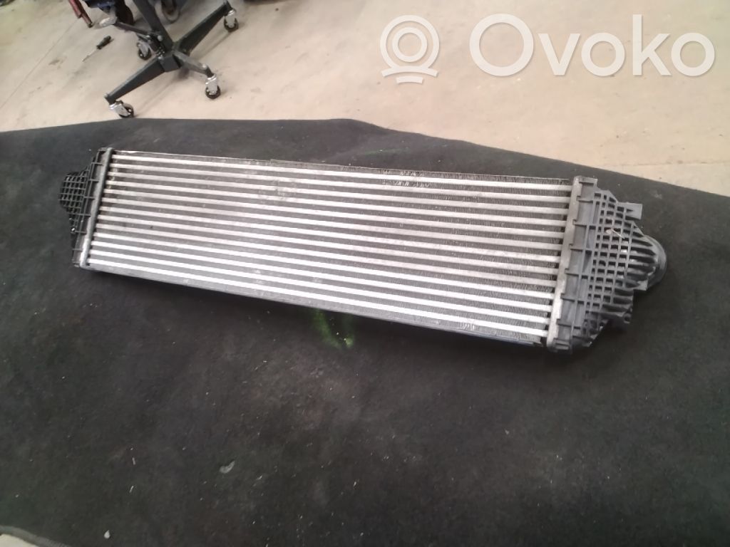 Intercooler radiator   2405099