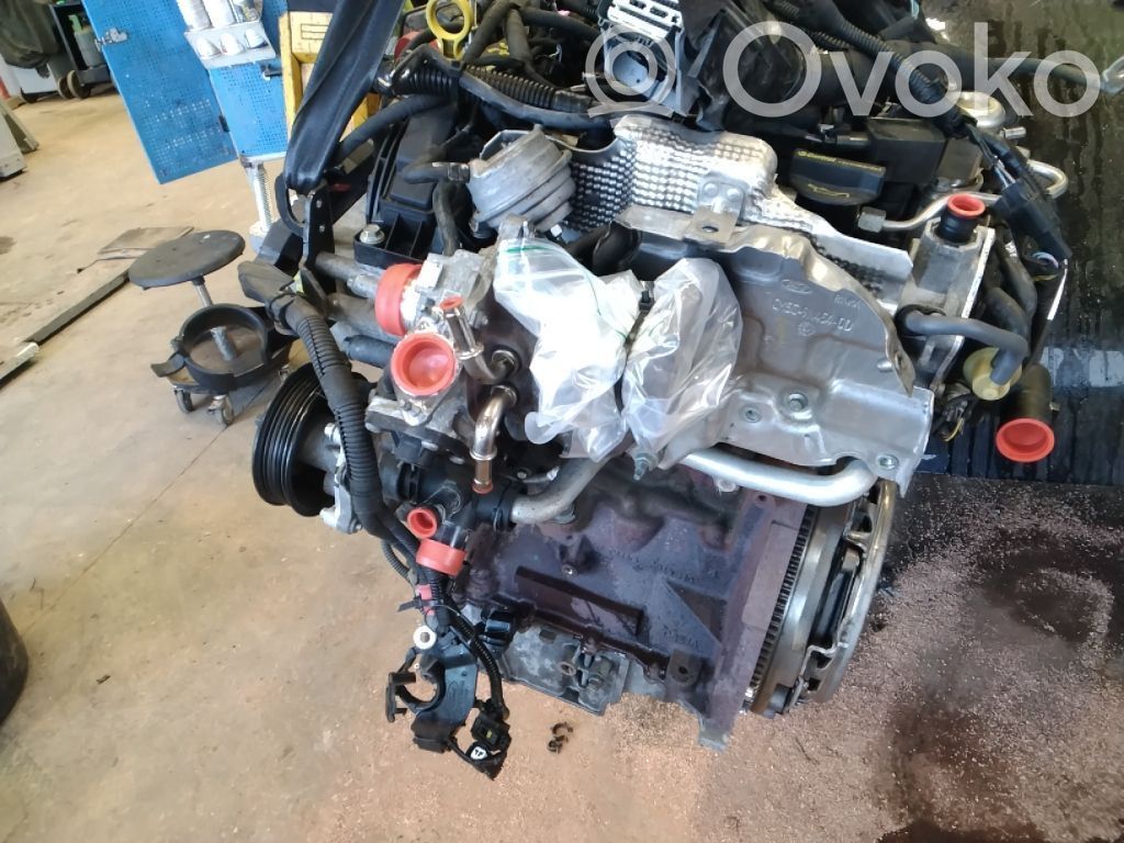 Ford Fiesta Variklis 