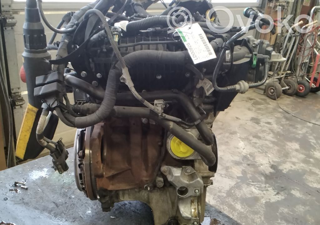 Ford Fiesta Variklis 
