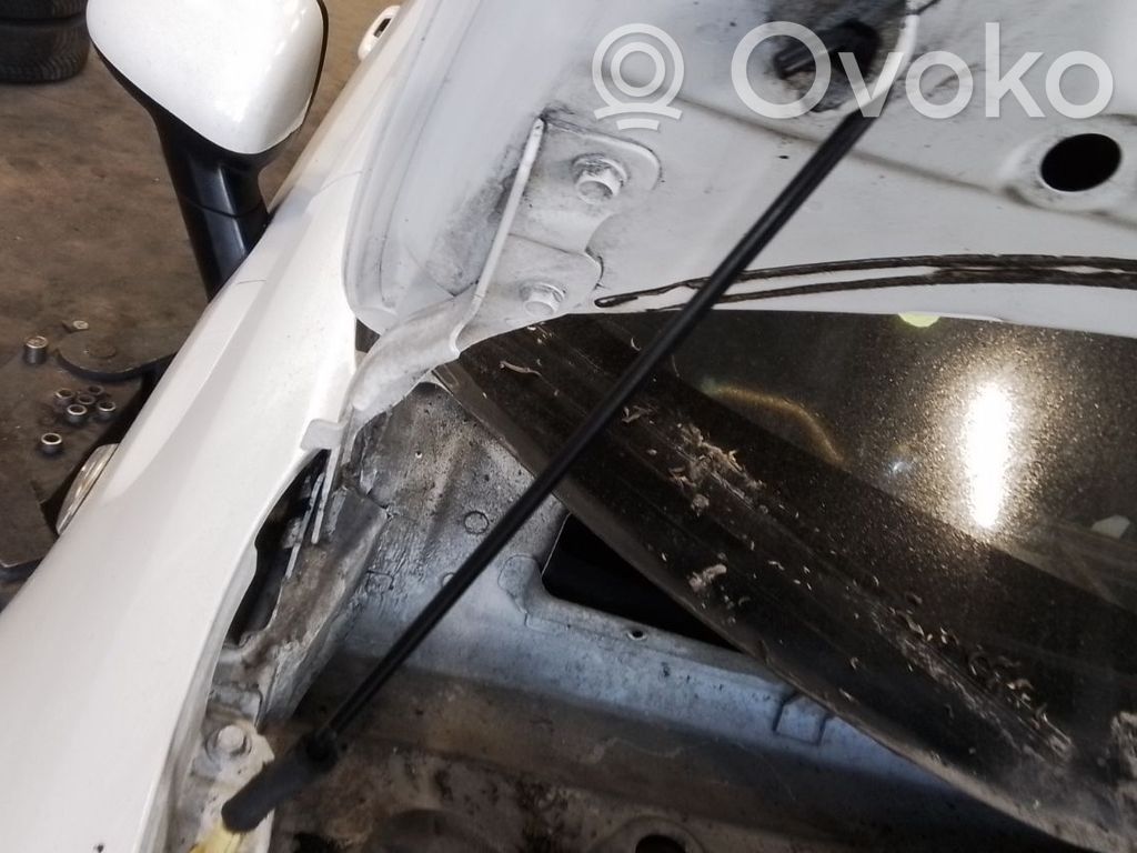 KIA Rio Balamale capotă 