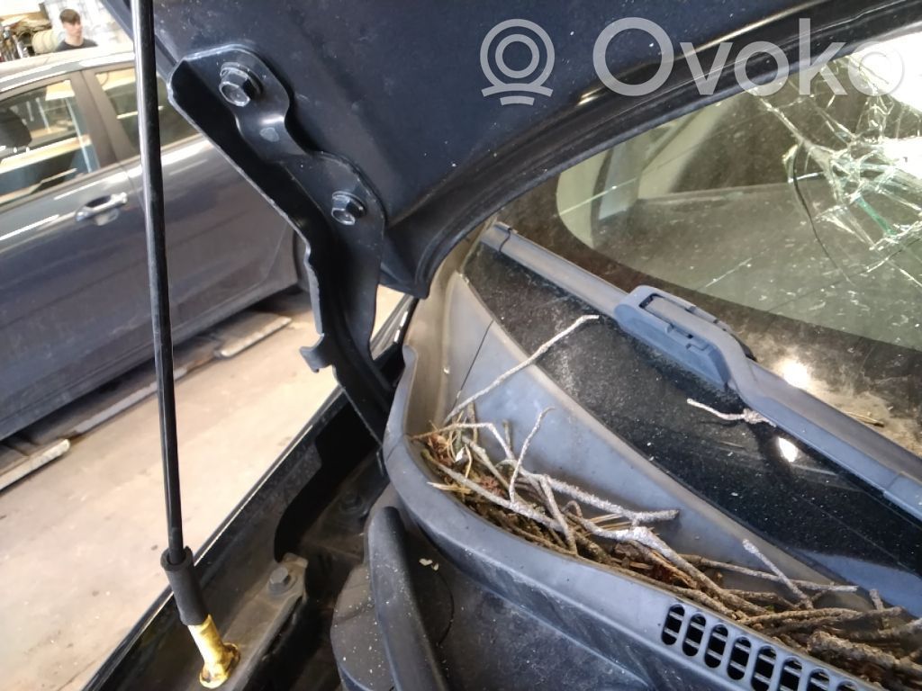 KIA Rio Balamale capotă 