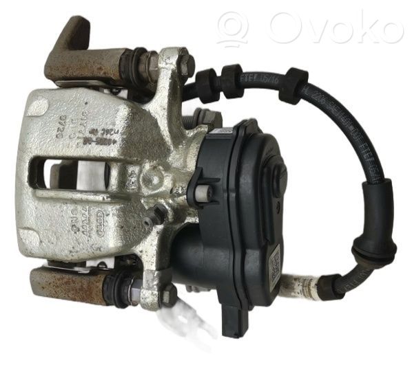 Takajarrusatula   4G0405BE,4G0405BE,4G0405BE,4G0615405BE