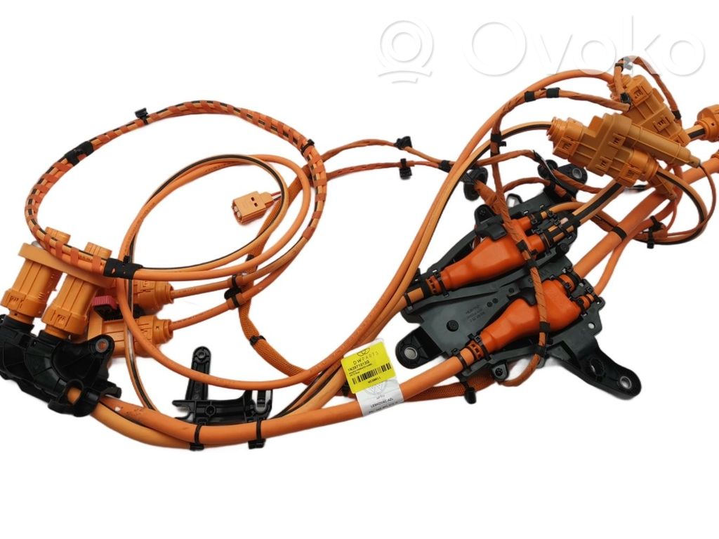 Mazo de cables   1N3971013G,1N3971013G