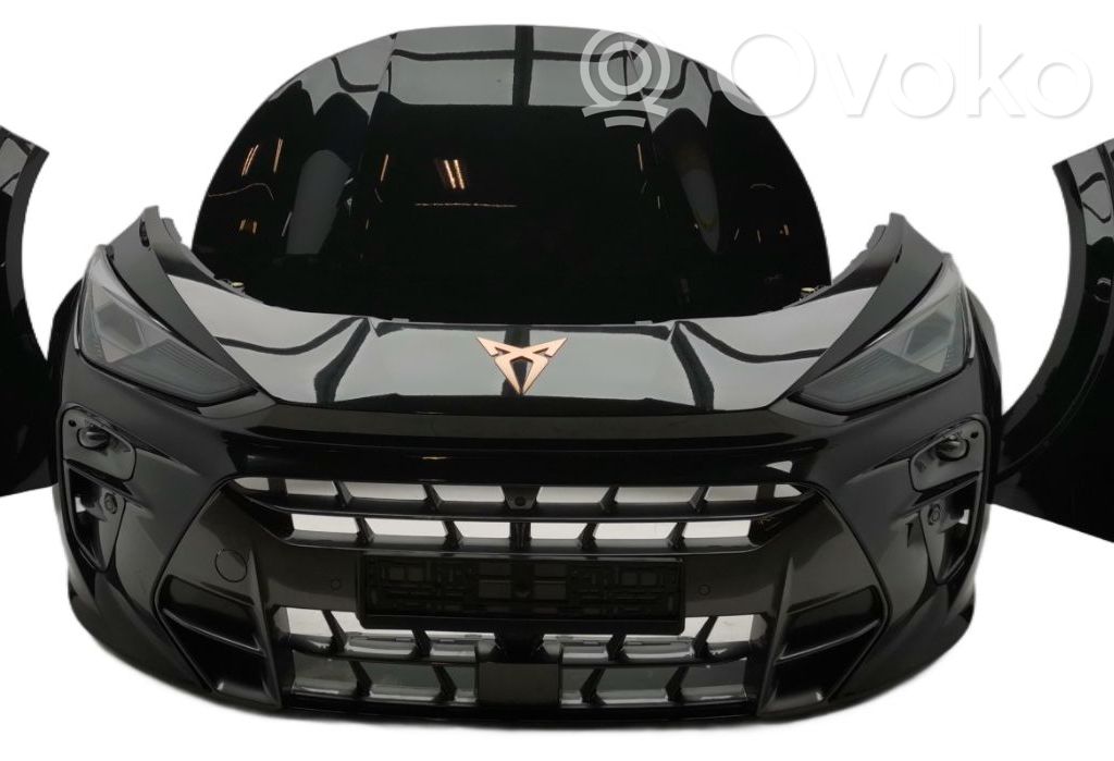 Cupra Terramar Priekinė kėbulo dalis 