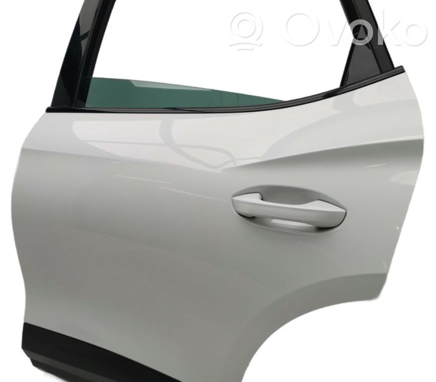 Galinės durys   5FF833051A,5FF833051A,LS9R,5FF833051