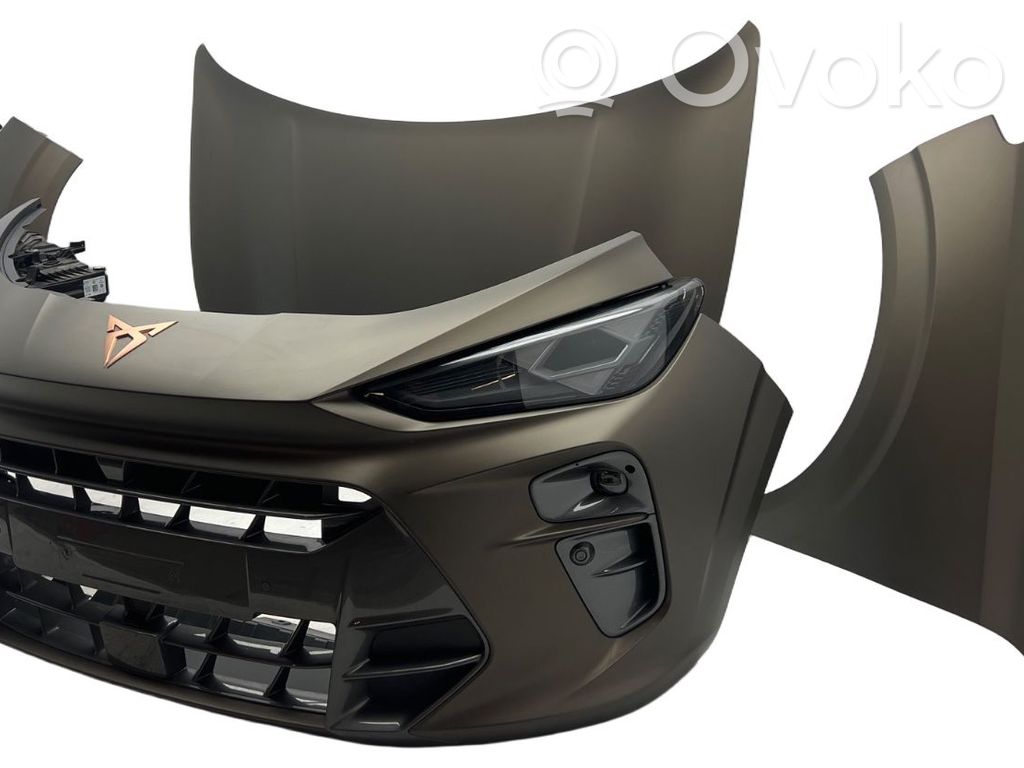 Cupra Terramar Vorderes Karosserieteil 