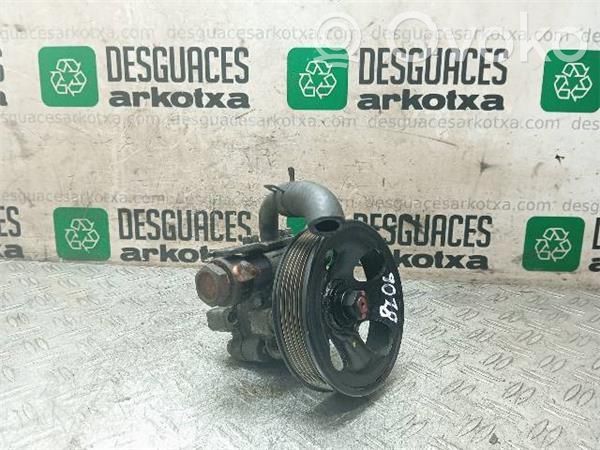 Hyundai Santa Fe Vairo stiprintuvo siurblys 