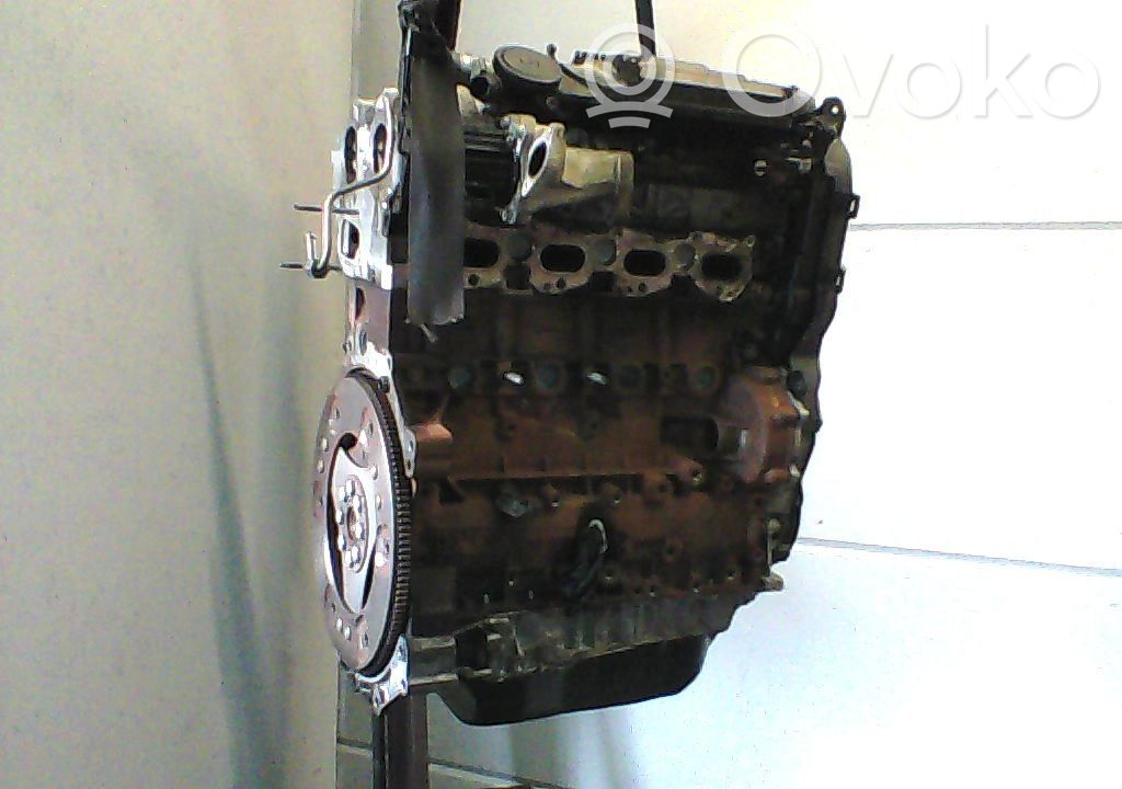 Motor   135PR