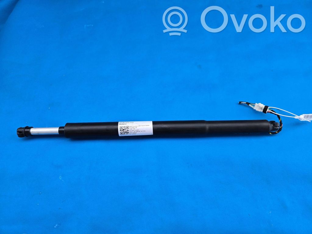 Tailgate strut   5A2FBE5