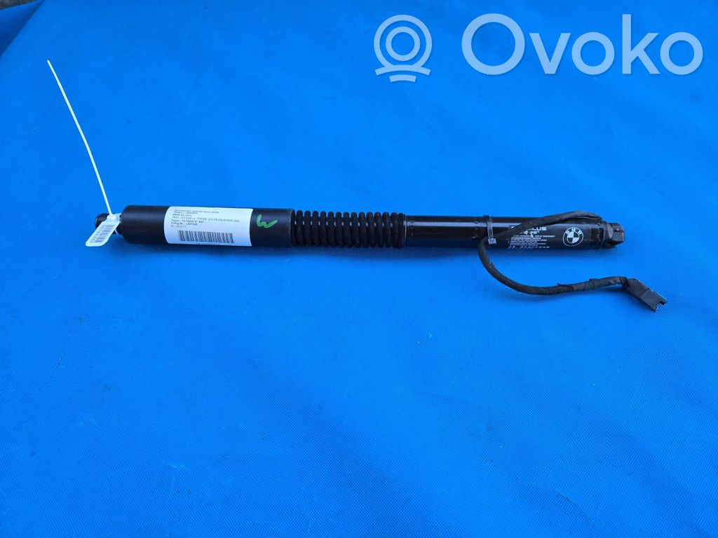 Tailgate strut   7397322
