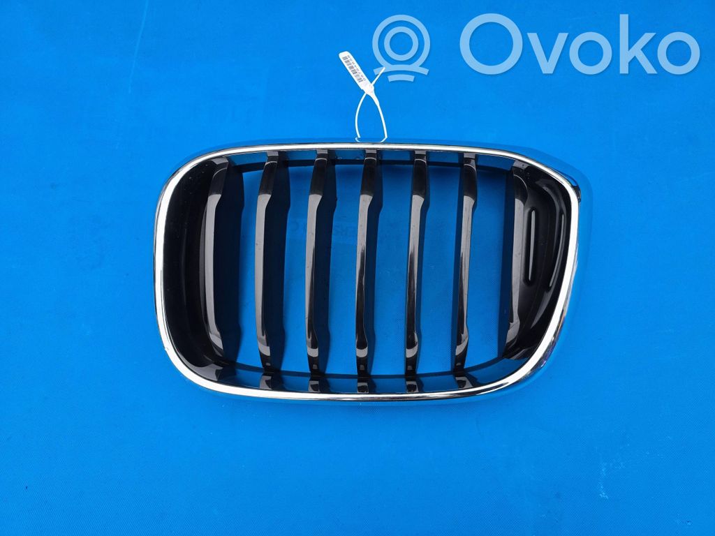 BMW X4 G02 Front grill 