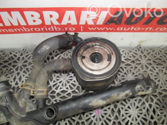 Chłodnica oleju   8200068115,DAC70337