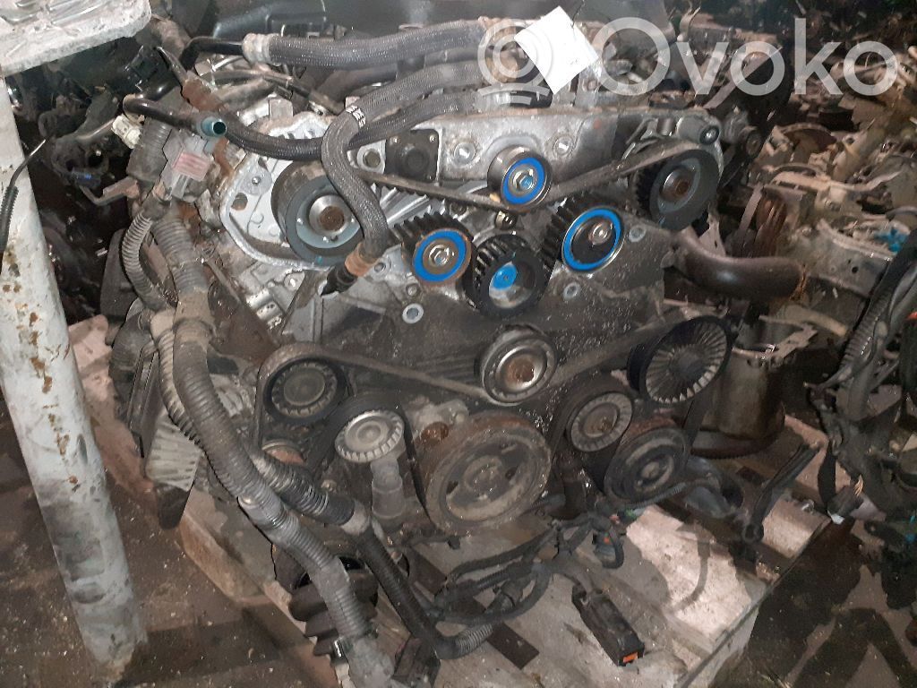 Motor   Y30DT
