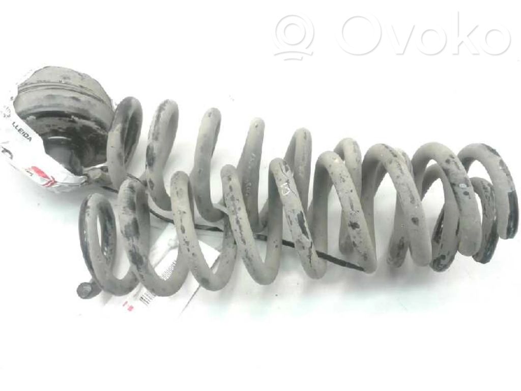 Front coil spring