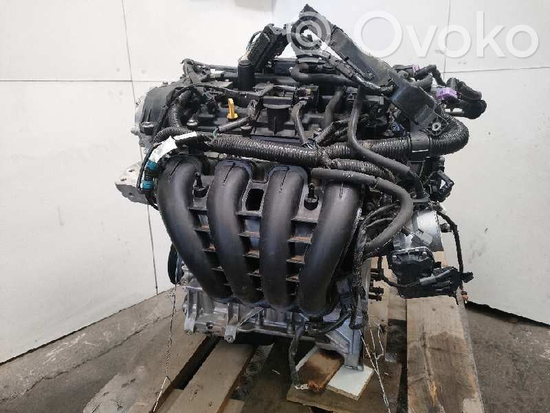 Engine   PE02,CARTERROTO