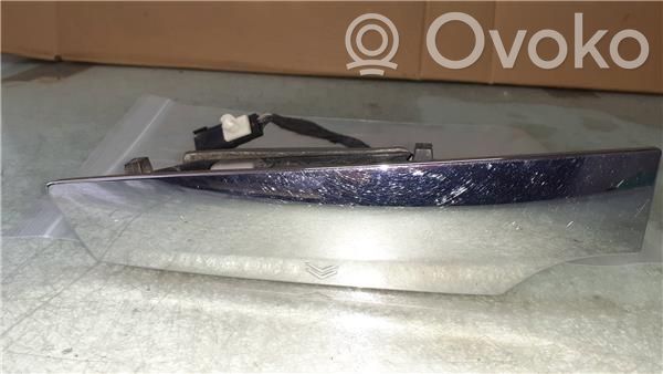 Ford Ecosport Manecilla externa de puerta de carga 