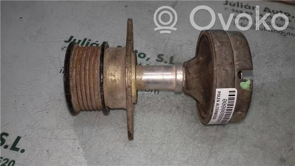 Ford Focus Polea del alternador 