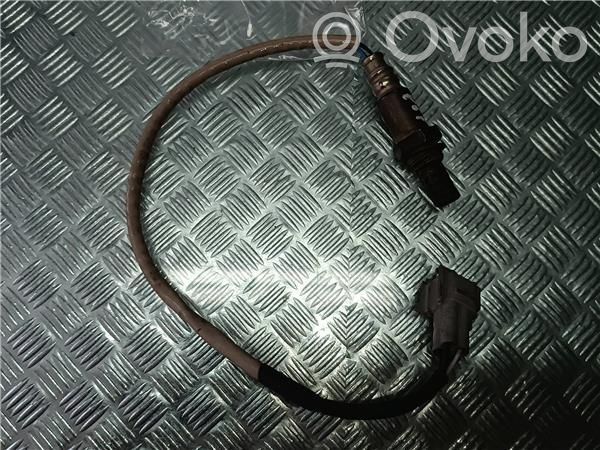 Зонд «Lambda»   1491009042,DENSO