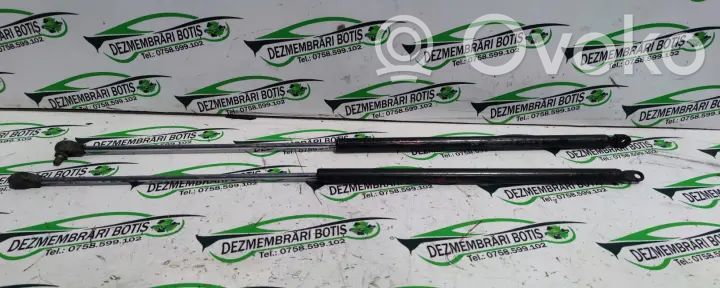 Tailgate/trunk strut/damper   UGXBALFW