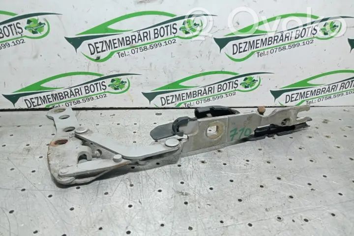 Engine bonnet/hood   COX5GYYV