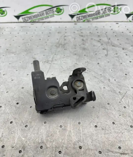 Engine bonnet/hood   8240599,4I1WGVON