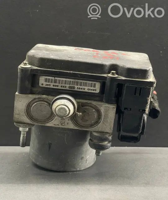 Unidad de control/módulo del ABS   TIBSD1WG