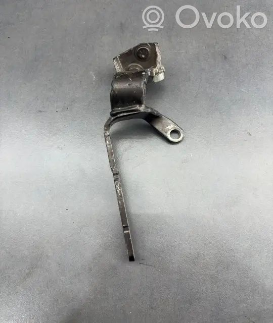 Tailgate/trunk/boot hinge   DQJQA9JR