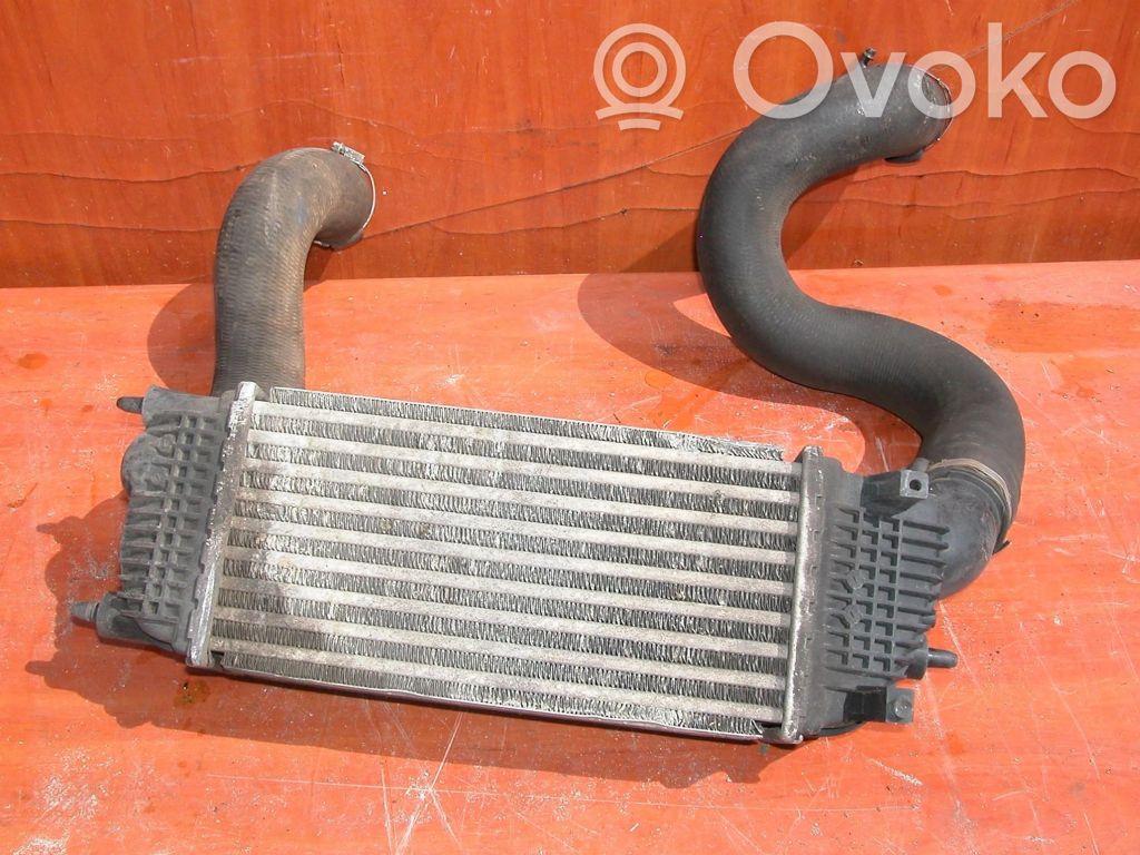 Peugeot 407 Intercooler radiator 