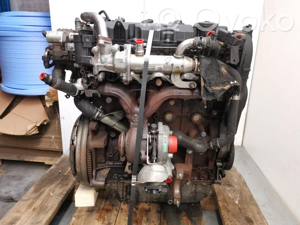 Motor   G6DD