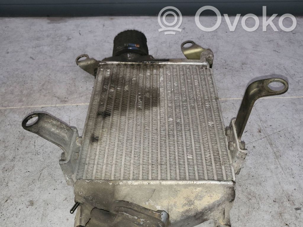 Opel Monterey Interkūlerio radiatorius 