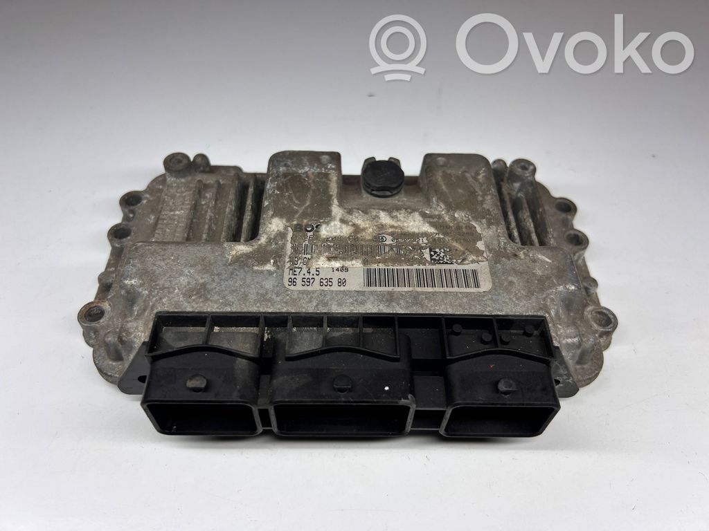 Peugeot 206 Engine control unit/module 