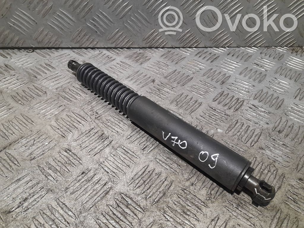 Tailgate/trunk control unit/module   31217840