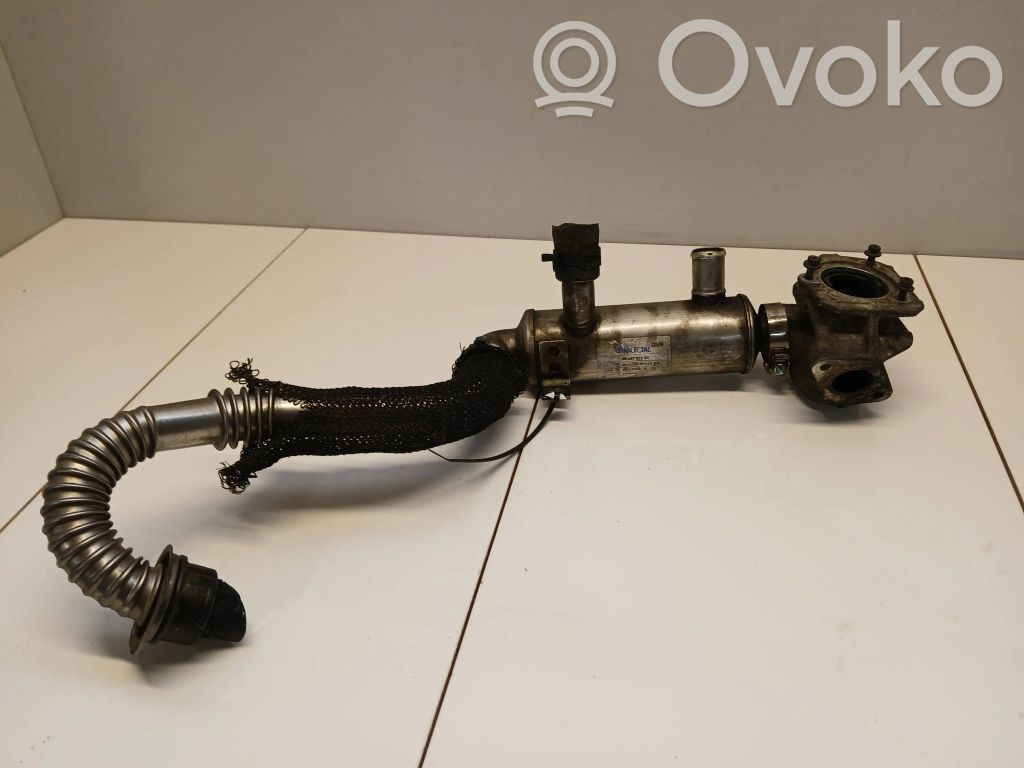 Ford Focus EGR dzesētājs 