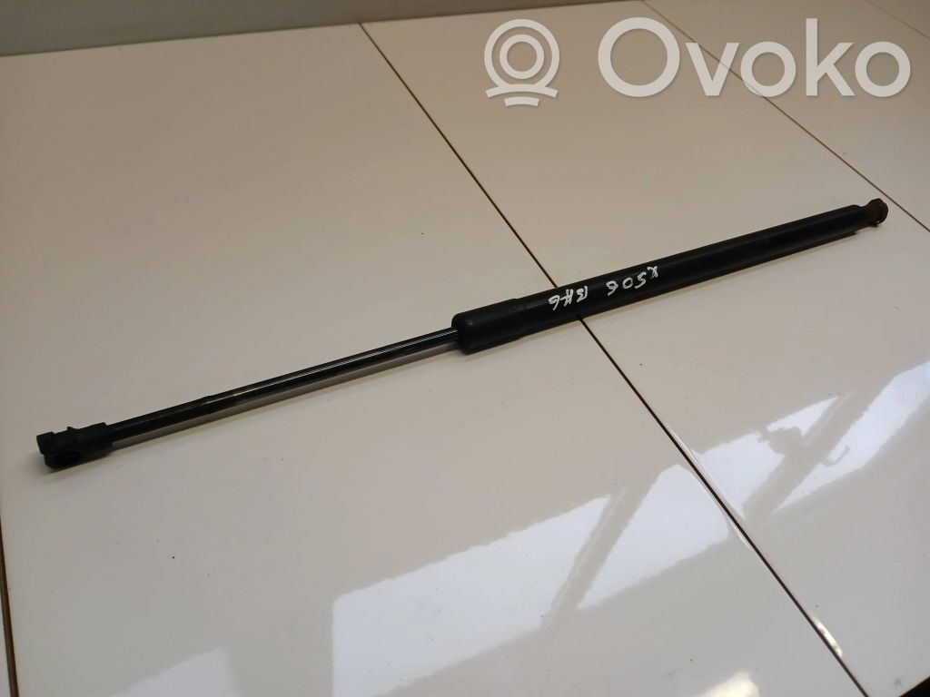 Tailgate/trunk strut/damper