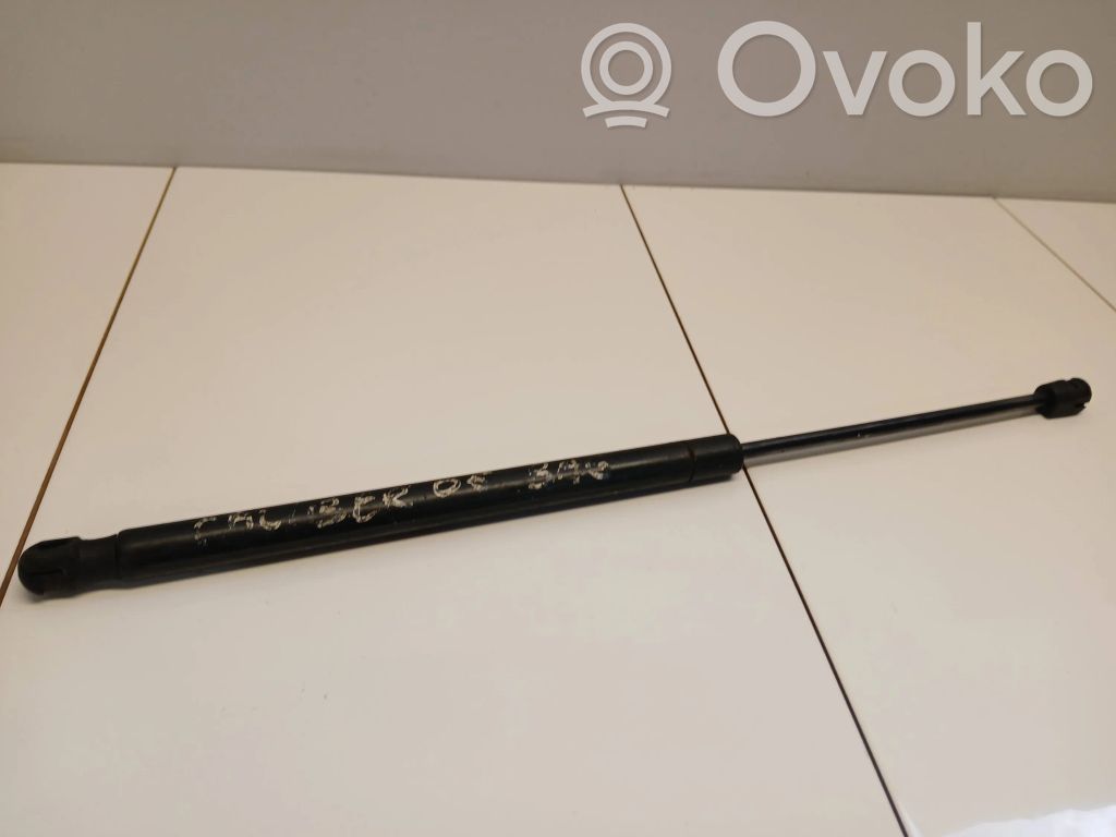 Tailgate/trunk strut/damper