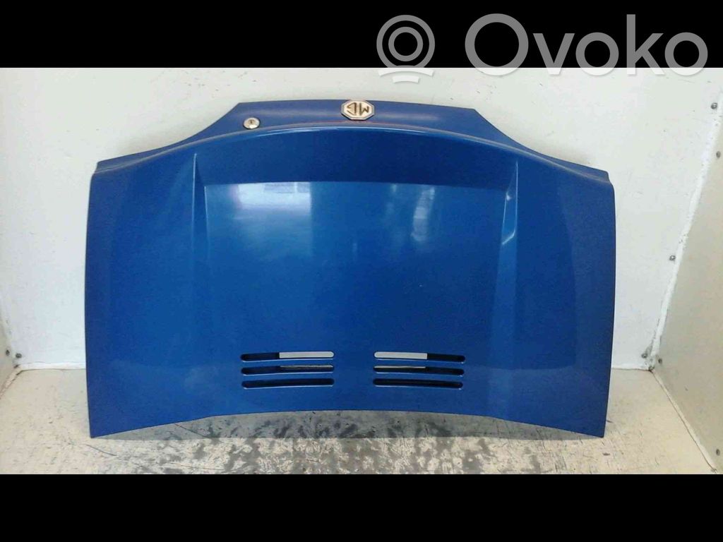 MG TF Tailgate/trunk/boot lid 