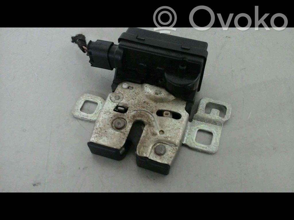 Spyna galinio dangčio   51242754528,20231424,3746870,VDMS7